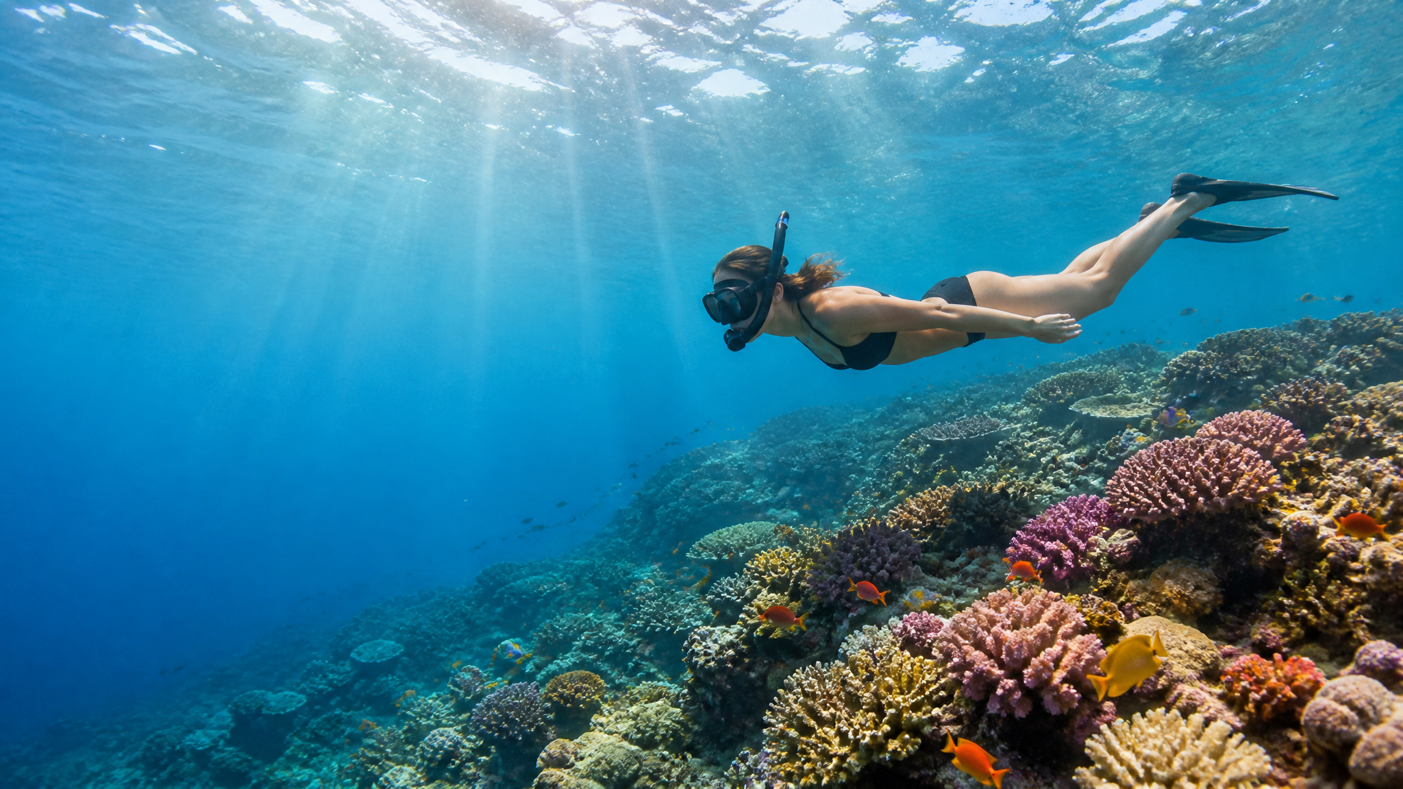 Diving & Snorkeling