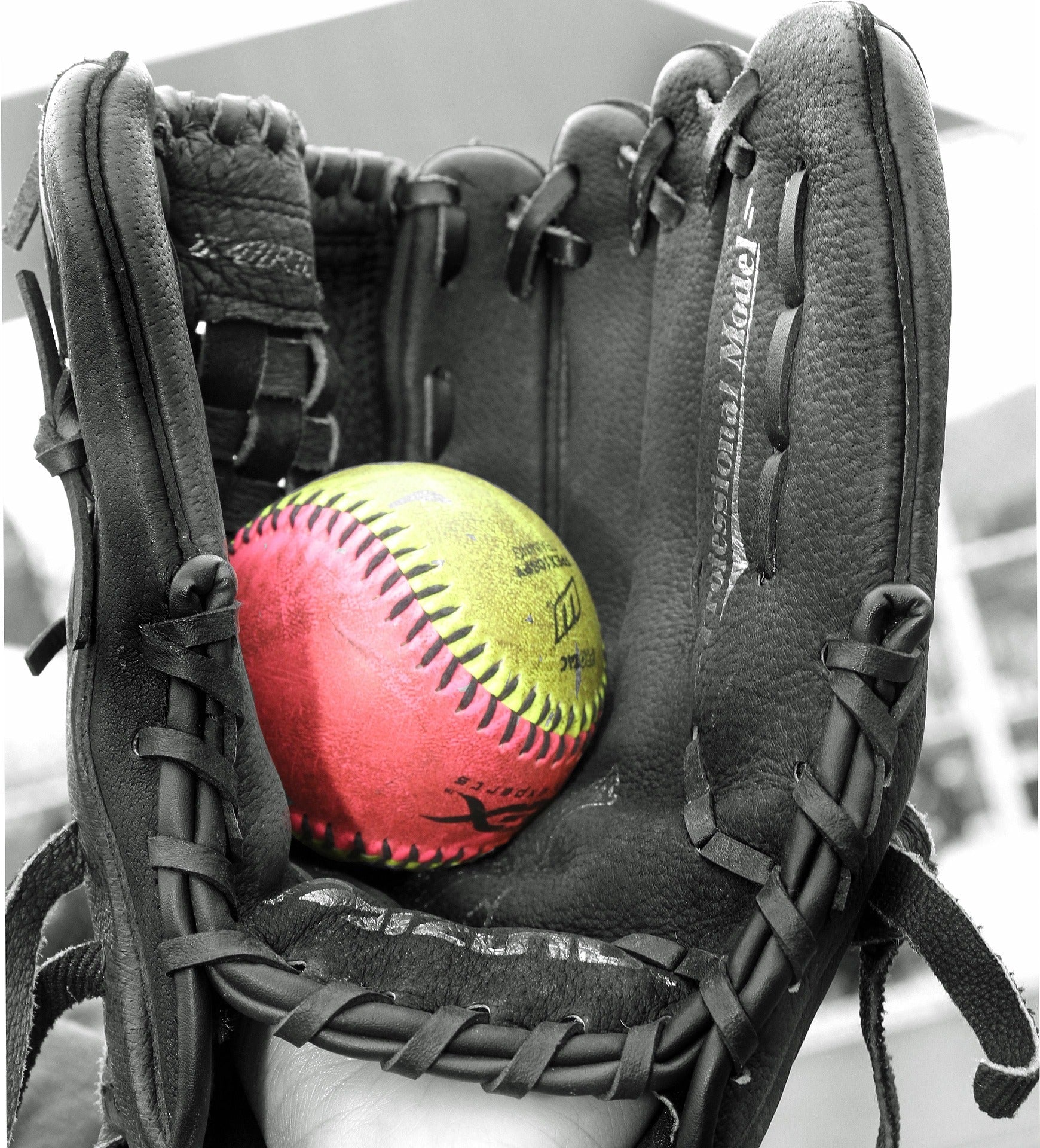 Baseball & Softball
