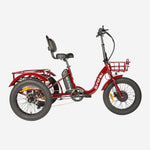 NEW-TRIKE 2.0