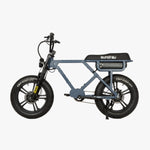 FLASH AWD 1.0 Dual Motor E-Bike | 2x750W