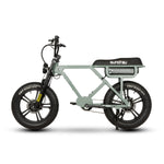 FLASH AWD 1.0 Dual Motor E-Bike | 2x750W