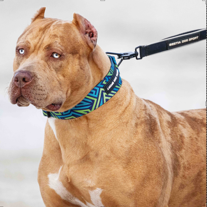 Bestia Dog Sport GripPro Print Collar | Blue & Green