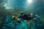 Navbow Dual-Motor Underwater Scooter
