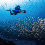 Navbow Dual-Motor Underwater Scooter