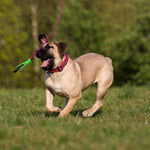Bestia Dog Sport GripPro Print Collar | Pink
