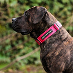 Bestia Dog Sport GripPro Print Collar | Pink