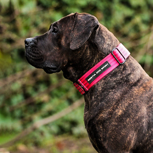 Bestia Dog Sport GripPro Print Collar | Pink
