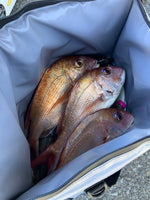Insulated Fish Cooler Bag with Flat Bottom | 27QT
