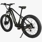 FAT-AWD 2.0 E-Bike