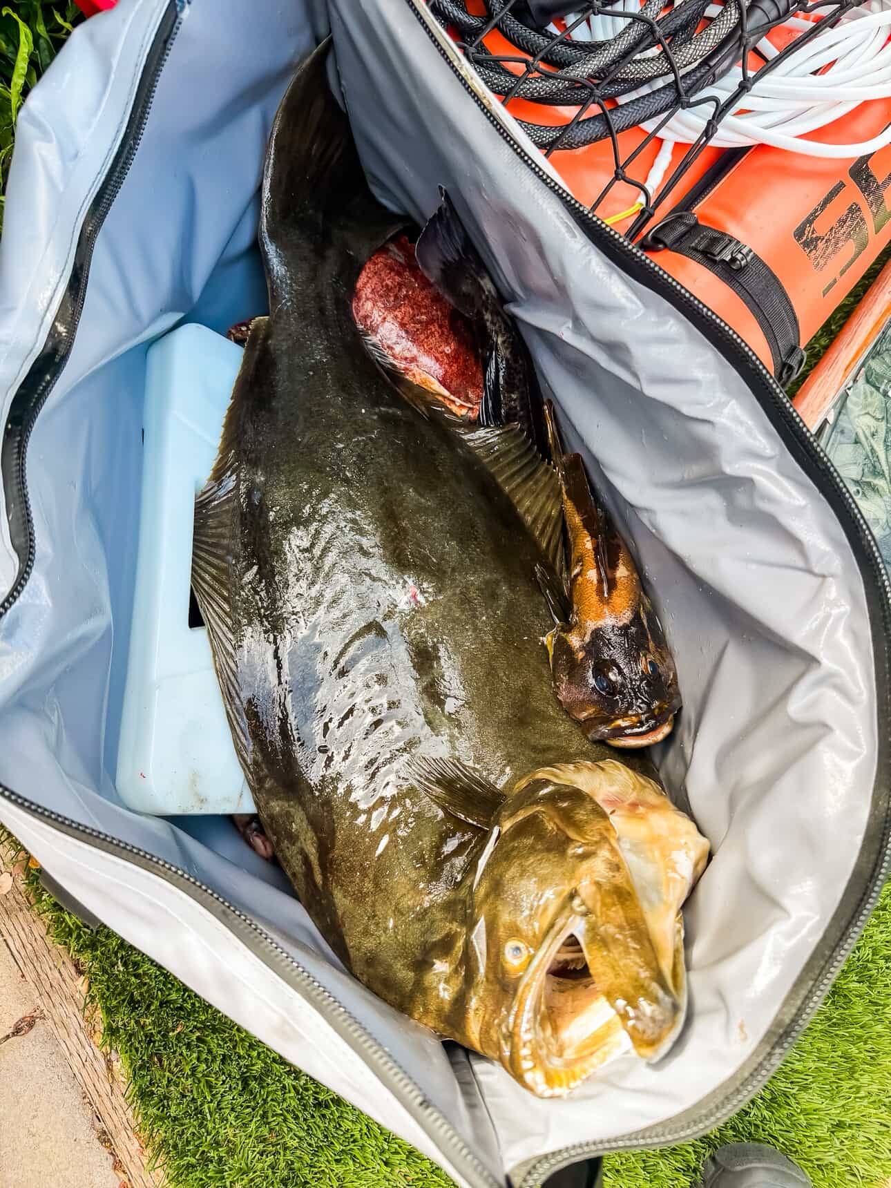 Fish Cooler Bag with Flat Bottom | 45QT