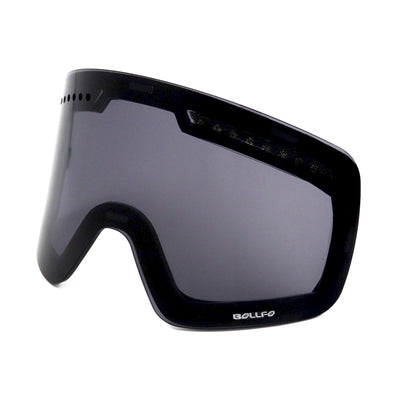 Ski Goggles
