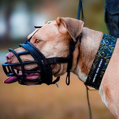 Bestia Dog Sport GripPro Print Collar | Gold