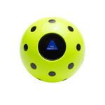 The Magic Pickleball!! Your Pickleball Destiny Awaits!