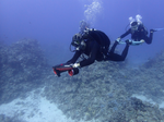 Navbow Dual-Motor Underwater Scooter