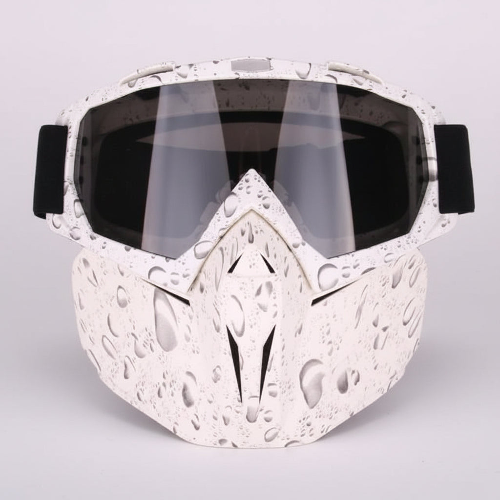 Ski & Snowboard Goggle with Face Mask