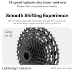VOOK ONE Lightweight Road Bike T700 Carbon Fiber Fork | 13-Speed