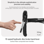 VOOK ONE Lightweight Road Bike T700 Carbon Fiber Fork | 13-Speed