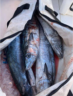 Fish Cooler Bag with Flat Bottom | 84Q