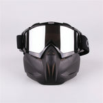 Ski & Snowboard Goggle with Face Mask