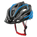Biking Helmet