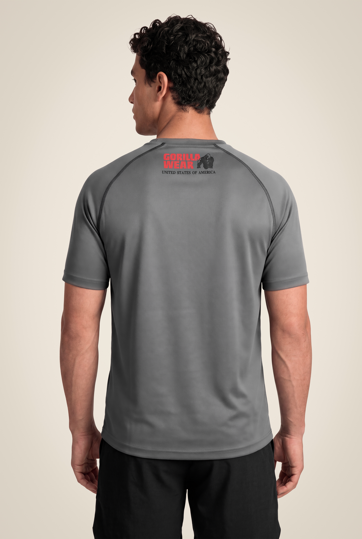 Performance T-Shirt | Gray