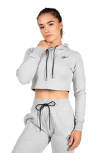 Pixley Crop Top Hoodie | Gray
