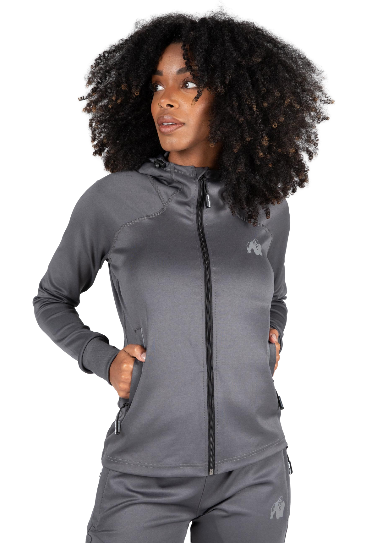 Halsey Track Jacket | Gray