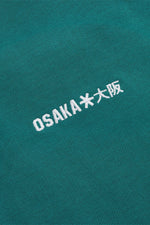 Osaka Men Half Zip Sweater | Transformative Teal
