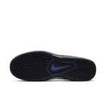 Nike SB Vertebrae Summit White Athletic Shoes