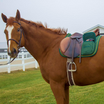 Derby Originals All Purpose English Saddle Pad with Pockets