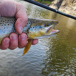Command Force Spinning Rod