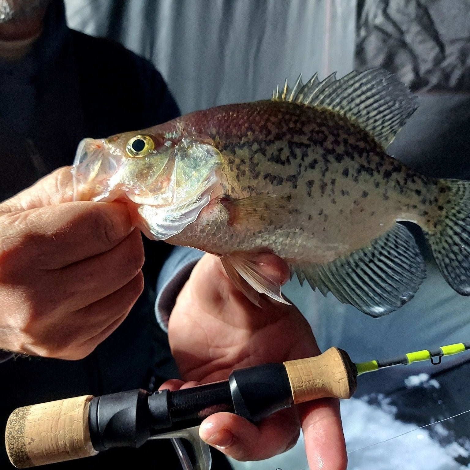 Ice Breaker Fishing Rod