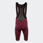 Nalini NEW ROAD Men's Bib Shorts | Bordeaux