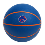 Color Splash QT BNZ Basketball