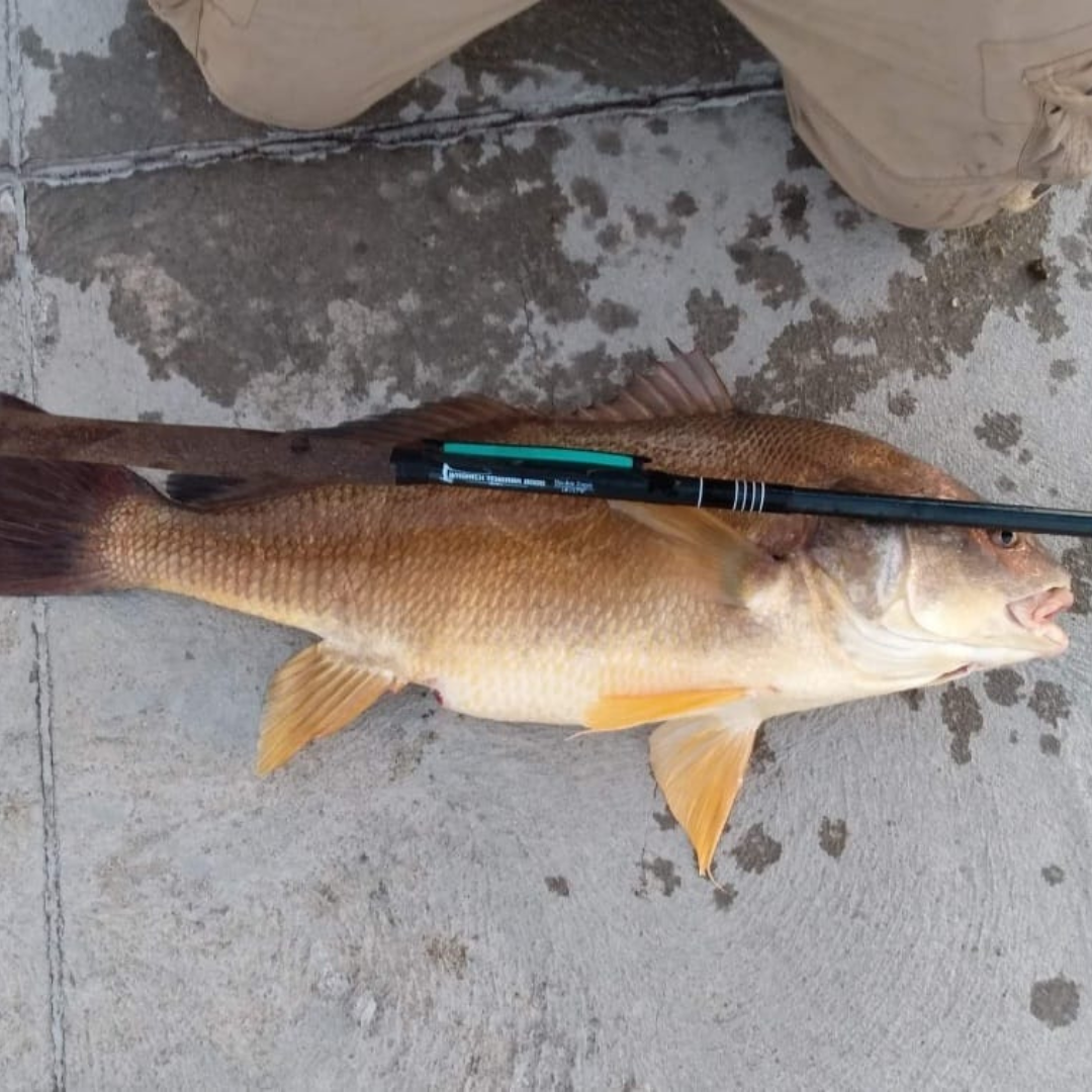 RodZilla Fishing Rod