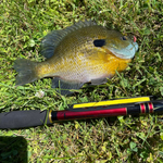 Akai Samurai Fishing Rod