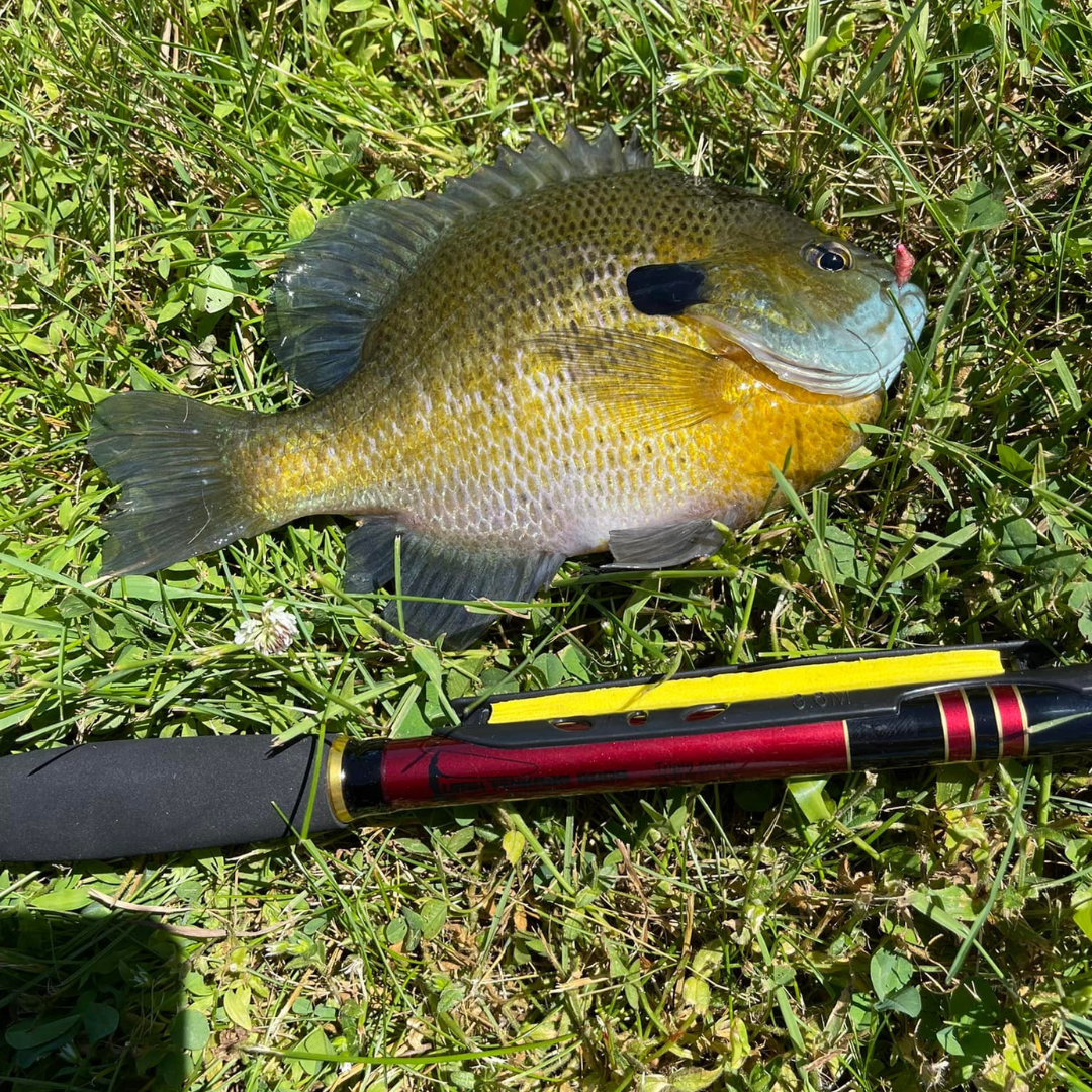 Akai Samurai Fishing Rod