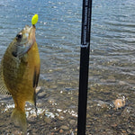 Command Force Spinning Rod