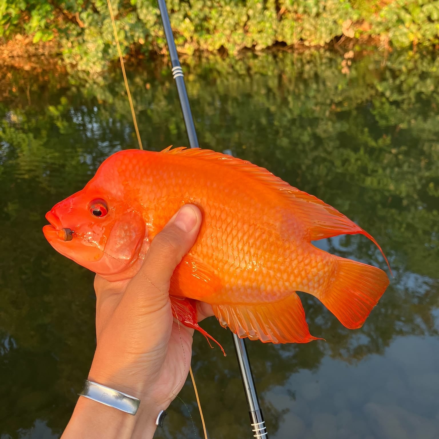 RodZilla Fishing Rod