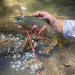 Akai Samurai Fishing Rod