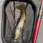 Akai Samurai Fishing Rod
