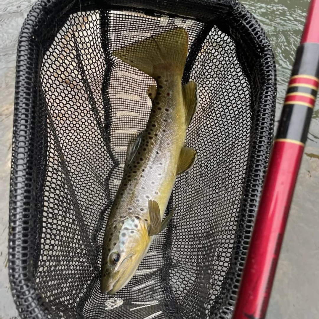 Akai Samurai Fishing Rod