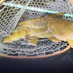 Siyco Fishing Rod