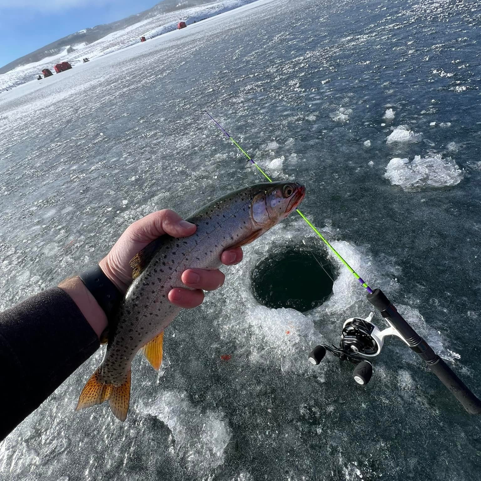 The Joker "Co-Designed by Shifty Outdoors" Ice Fishing Rod