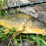 RodZilla Fishing Rod