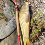 Phoenix Rising Tenkara Fishing Rod