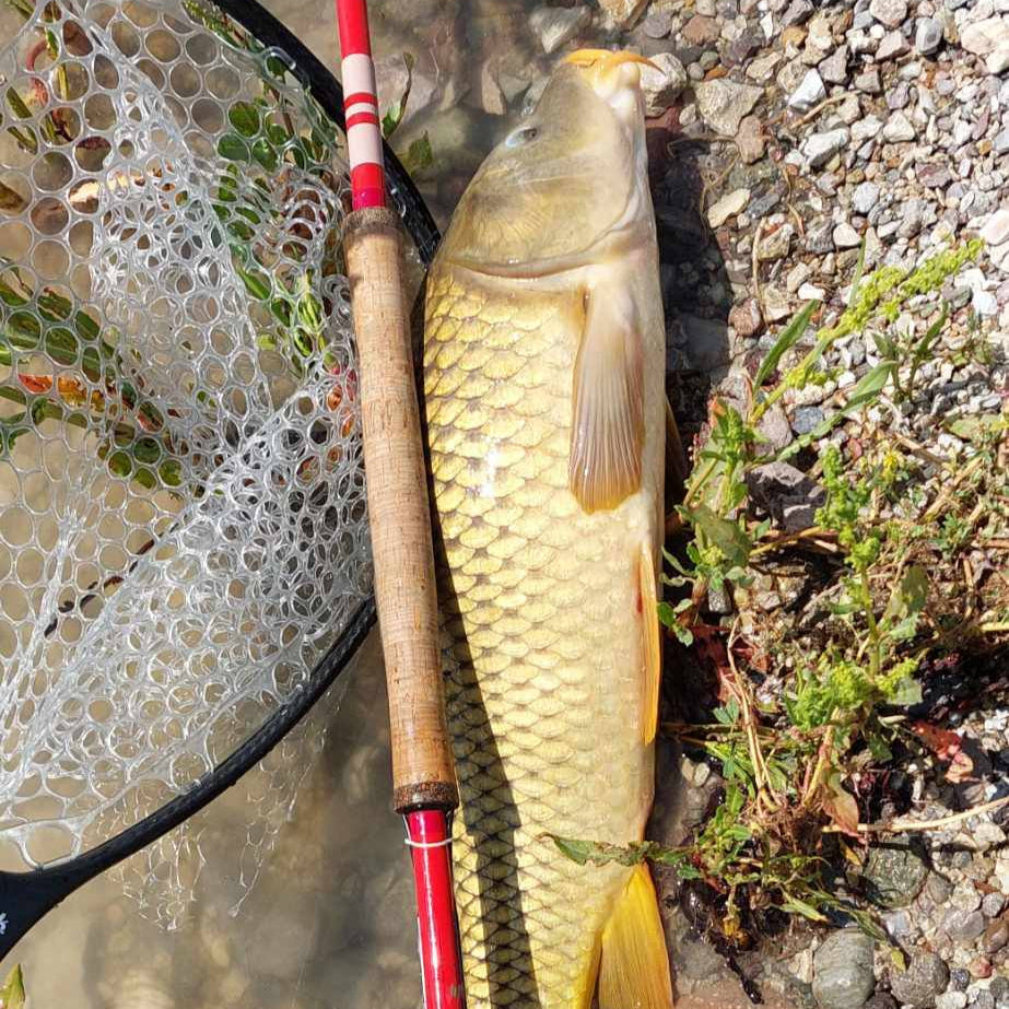Phoenix Rising Tenkara Fishing Rod