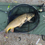 Command Force Spinning Rod
