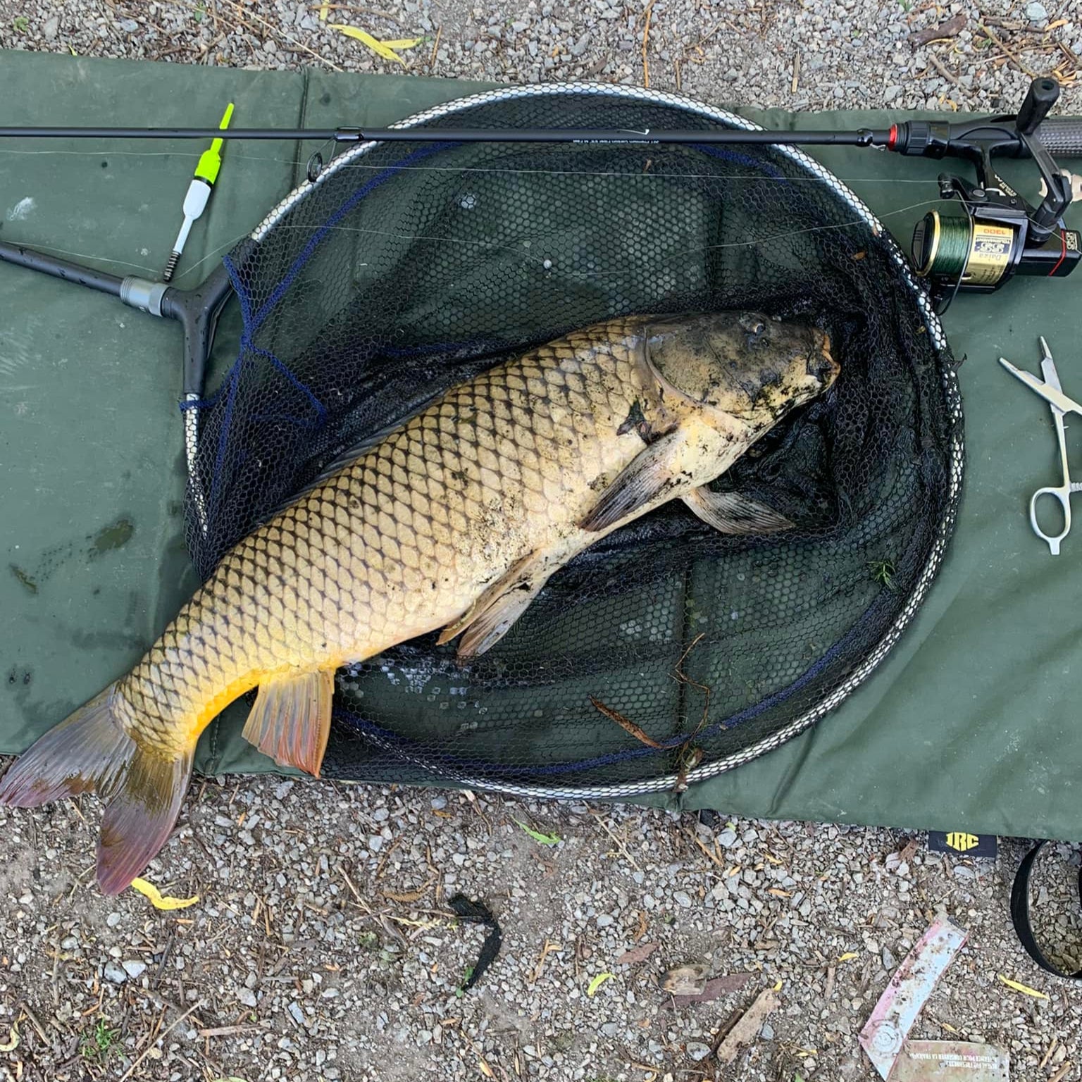 Command Force Spinning Rod
