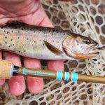SNUB NOSE IV Ultra Compact Fishing Rod